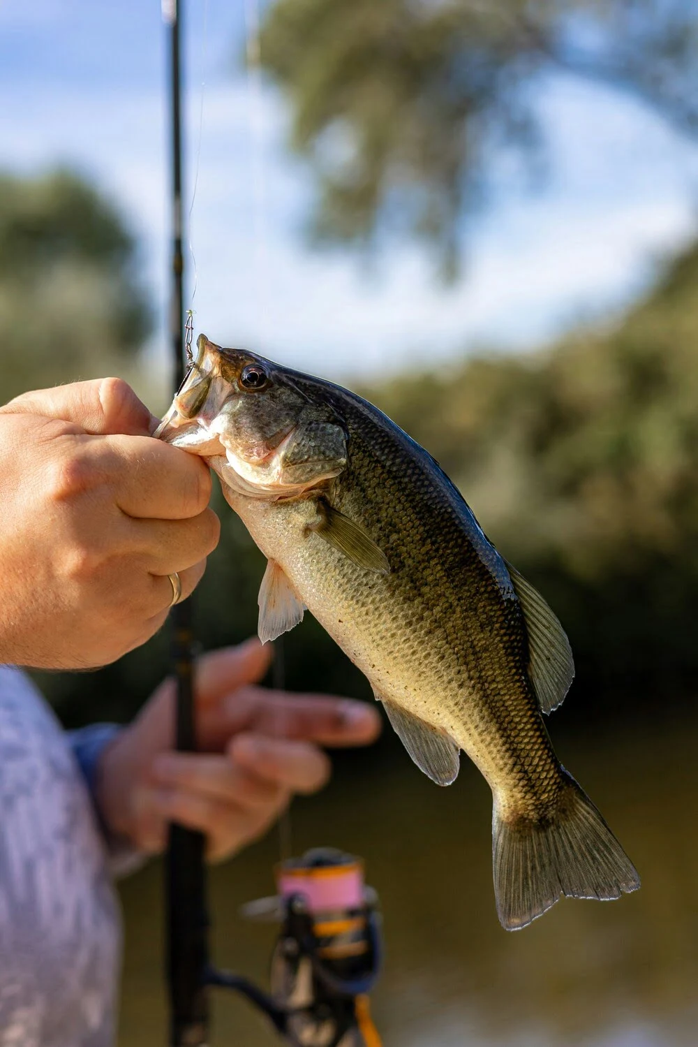 Angler holding a freshly caught fish beside the water